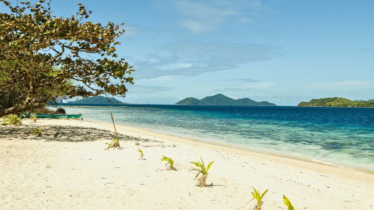 Linapacan Top Destinations, Best Attractions, Must-Try Foods, Booking Stays, Tour Packages, Travel Tips Linapacan Top Destinations, Best Attractions, Must-Try Foods, Booking Stays, Tour Packages, Travel Tips