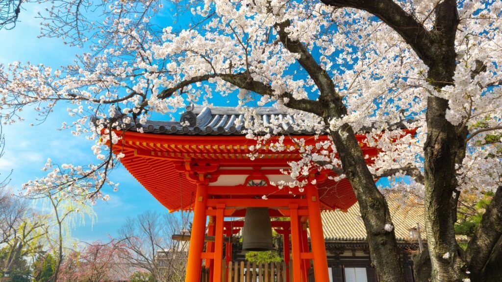 Japan’s Best Attractions, Top Destinations, Must-Try Foods, Booking Tour Packages & Stays, and Travel Tips Japan’s Best Attractions, Top Destinations, Must-Try Foods, Booking Tour Packages & Stays, and Travel Tips