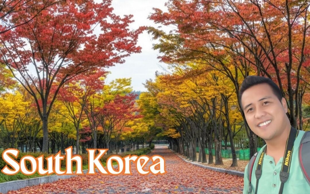 Budget Travel to South Korea: Smart Hacks, Food, Transport, Cheap Hotels & Affordable Attractions